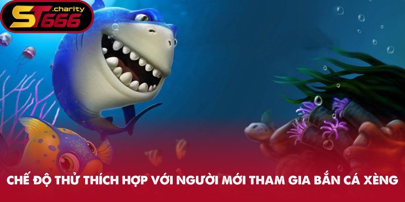 Bắn Cá Xèng - Siêu Phẩm Thả Lưới Không Thể Bỏ Lỡ Tại ST666 2 Chế độ thử thích hợp với người mới tham gia bắn cá xèng