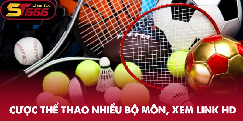 Cược Thể Thao - Trải Nghiệm Những Trận Đấu Đỉnh Cao Tại ST666 1 Cá cược thể thao nhiều bộ môn, xem link HD