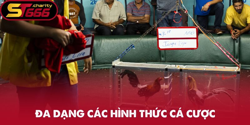 Đa dạng các hình thức tại sảnh game đá gà