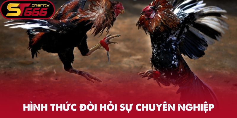 C1 là hình thức đòi hỏi sự chuyên nghiệp, nghiêm ngặt