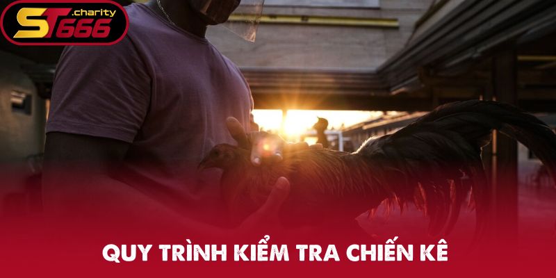 Quy trình kiểm tra chiến kê đá gà C1