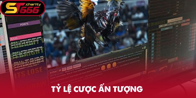 Tỷ lệ cược ấn tượng của đá gà C1 tại nhà cái